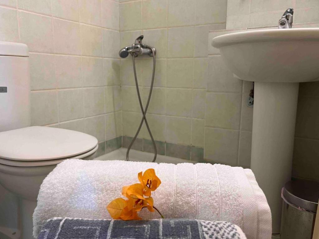 Ferienwohnung Kastro Aggeliki Kardhamili Exterior foto